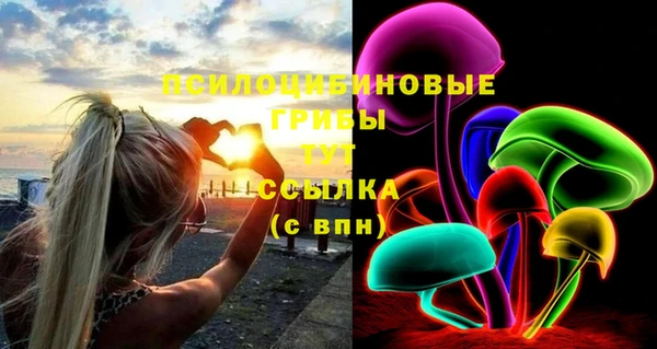 гидра Баксан