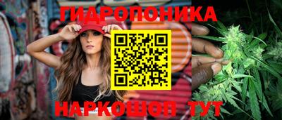 шишки Апрелевка