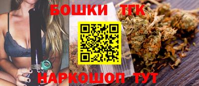 прущие крисы Аргун