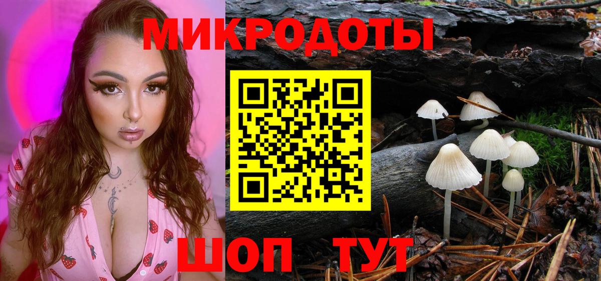 Галлюциногенные грибы Psilocybe Борзя