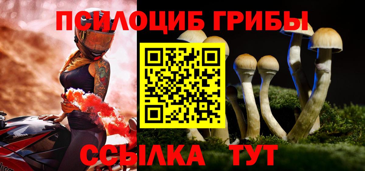 Борзя  Псилоцибиновые грибы MAGIC MUSHROOMS  Вход с VPN  Галлюциногенные грибы прущие грибы 
