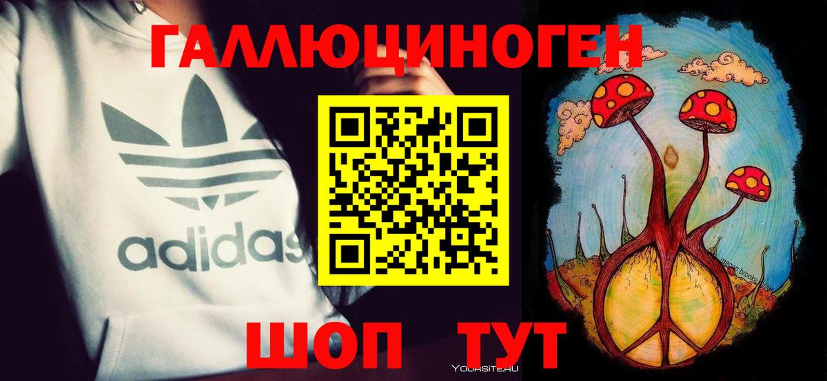 Псилоцибиновые грибы Cubensis  Борзя 